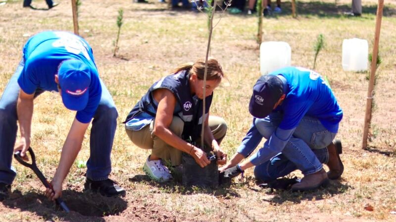 Manque granados participa junto a jóvenes en masiva jornada de reforestación al sur de chihuahua