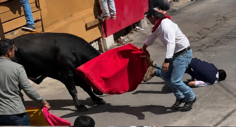 PETA exige cancelar definitivamente la Huamantlada en Tlaxcala tras el fallecimiento de dos personas