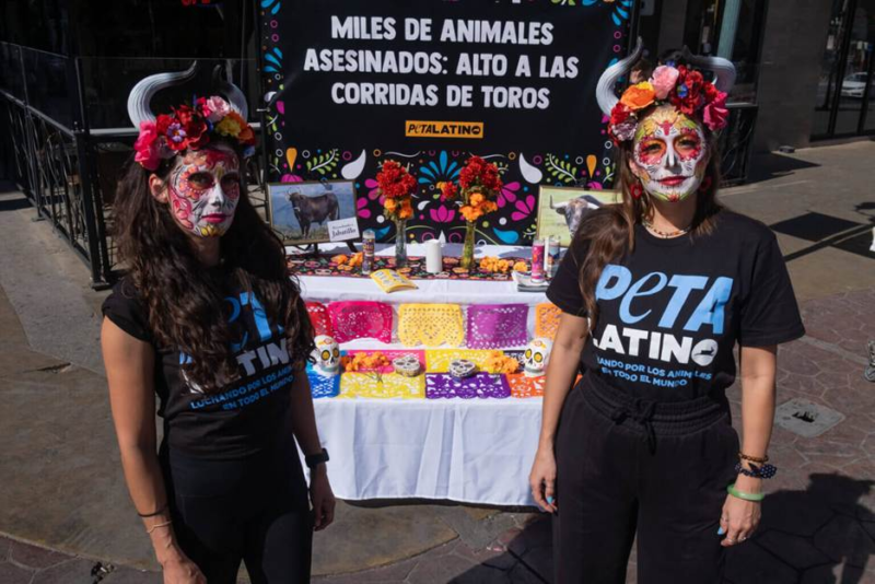Tijuana prohíbe oficialmente las corridas de toros y se consolida como referente en bienestar animal