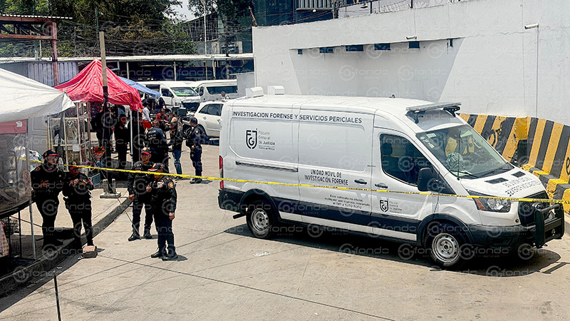 Tragedia en Indios Verdes: canino en condiciones de abandono agrede mortalmente a una persona