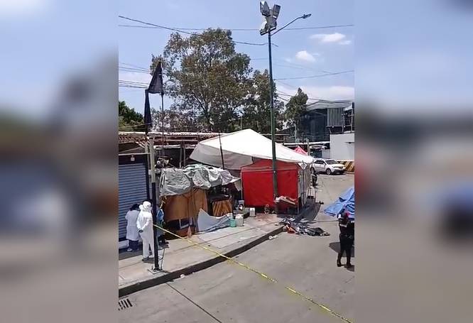 Tragedia en Indios Verdes: indigente fallece tras presunto ataque de canino en zona de transporte