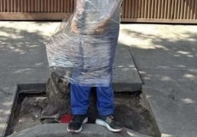 Vecinos de la alcaldía Benito Juárez atan a un árbol con plástico a presunto ladrón de bicicletas
