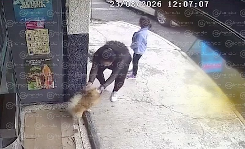VIDEO. Madre e hija ‘secuestran’ un perrito en la CDMX; fueron grabadas por una cámara
