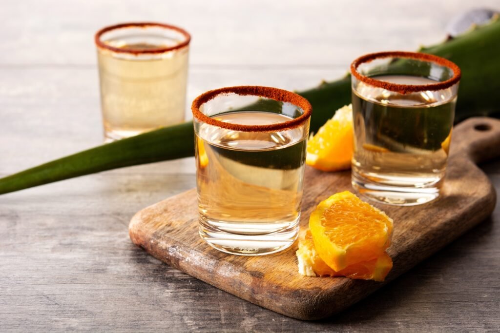 Vuelve a la capital el Festival del Pulque, Gastronomía Típica y Mezcal 2026 con decenas de sabores tradicionales