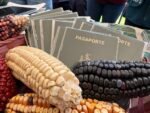 Agroturismo comunitario en Xochimilco: una iniciativa para rescatar y visibilizar la zona rural capitalina