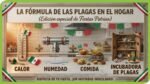 Alertan sobre un incremento crítico de plagas en zonas urbanas debido a las lluvias y las celebraciones patrias
