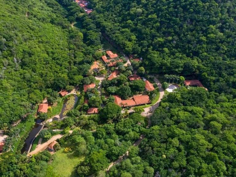 Cómo un fotógrafo transformó una hacienda ganadera erosionada en un próspero bosque en Brasil