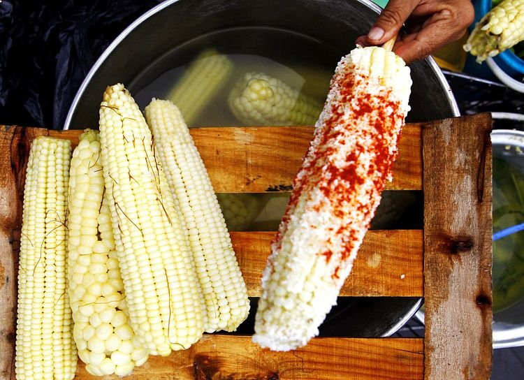 Cuernavaca mantiene restricción para la venta de tradicionales elotes durante las fiestas patrias