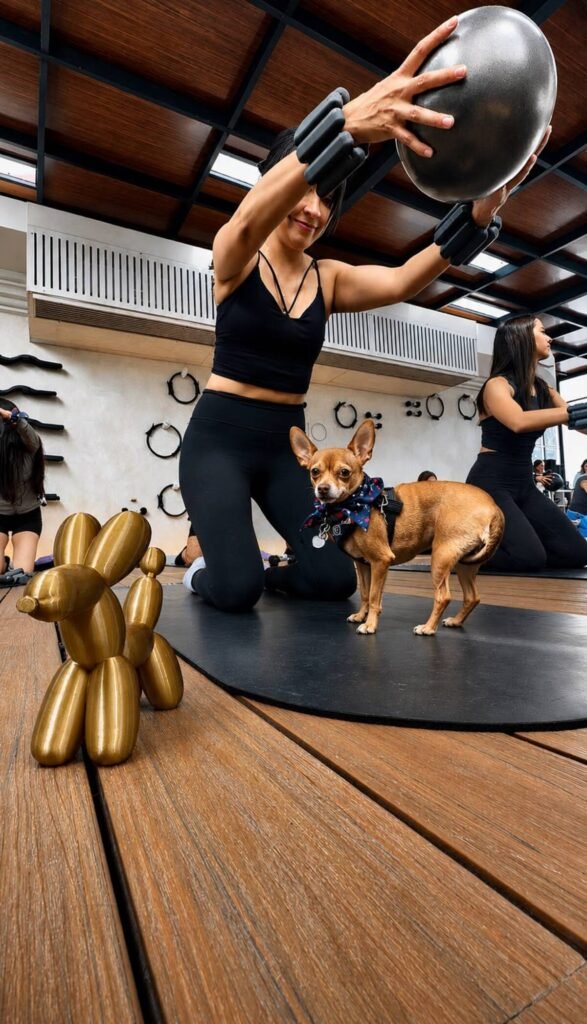 El auge del dog pilates: la nueva tendencia fitness para ejercitarte junto a tu mascota