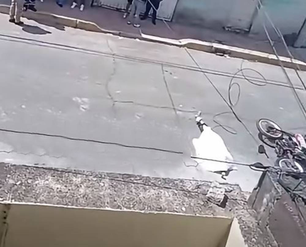 Exigen pagos irregulares de 13 mil pesos a familiares de motociclista fallecido en Valle de Chalco