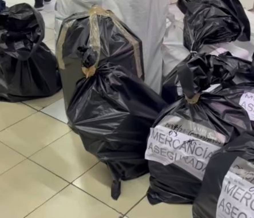Fuerzas federales y seguridad capitalina despliegan operativo contra la piratería en la Friki Plaza