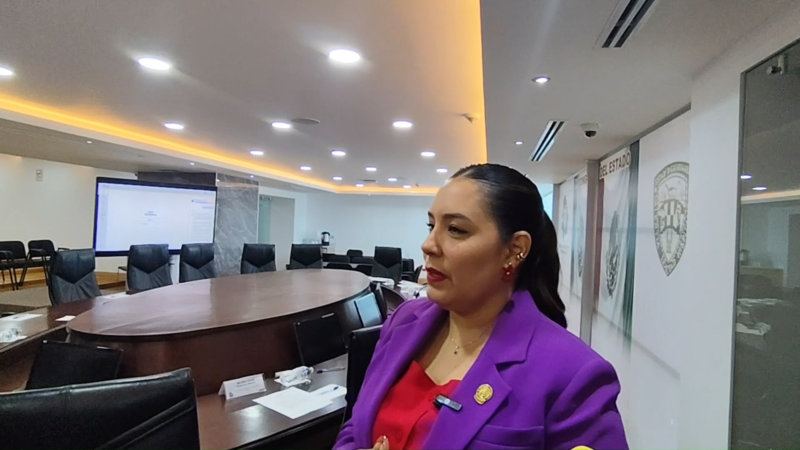Gira presidencial en Chihuahua busca exhibir músculo político de Morena, señala dirigente del Congreso