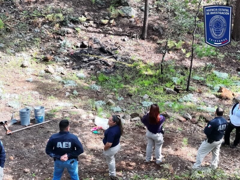 Hallan restos óseos calcinados y casquillos percutidos durante operativo de búsqueda en el municipio de Madera
