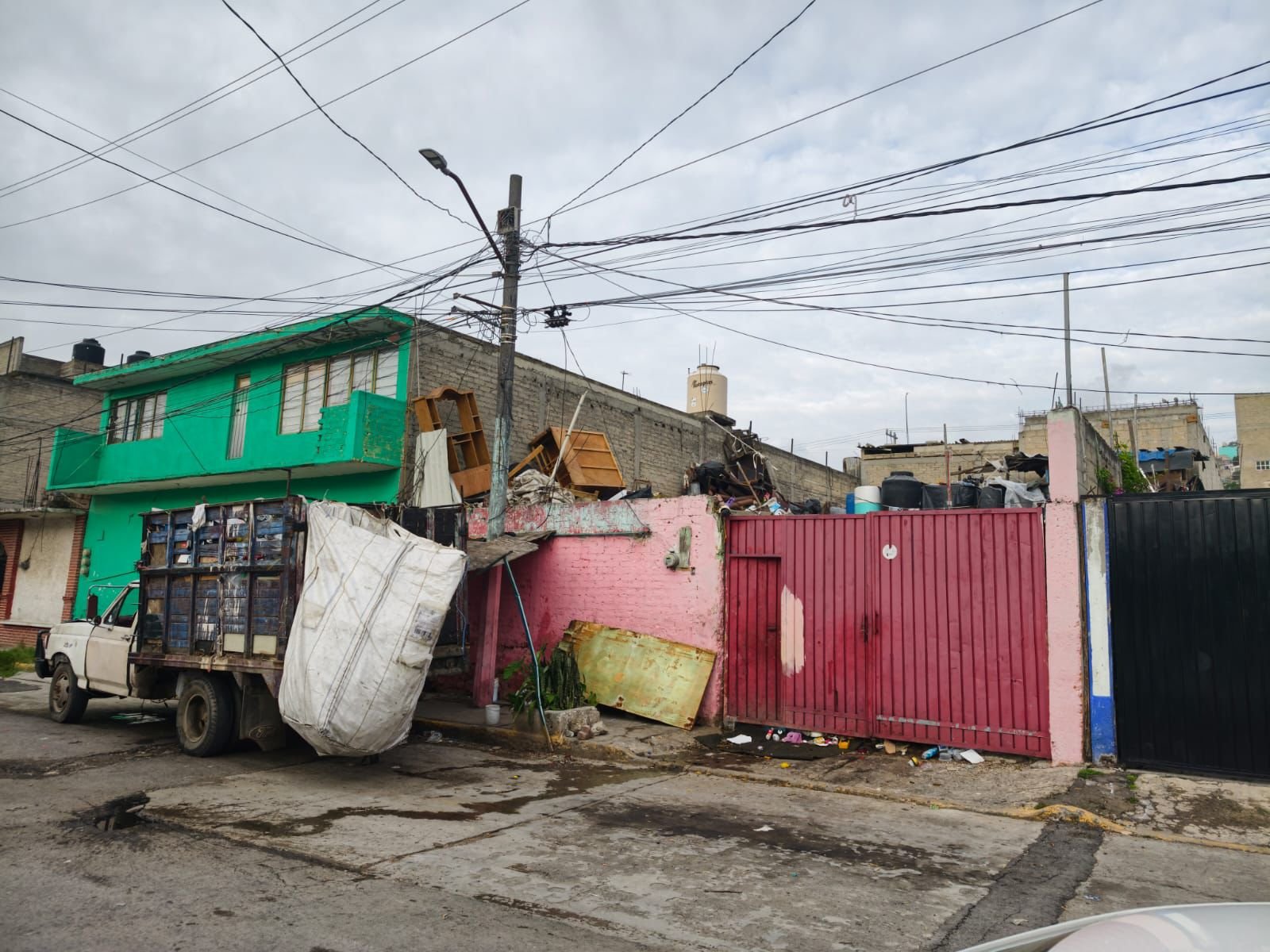 Invasión de roedores gigantes aterroriza a residentes de Tultitlán tras salir por los drenajes