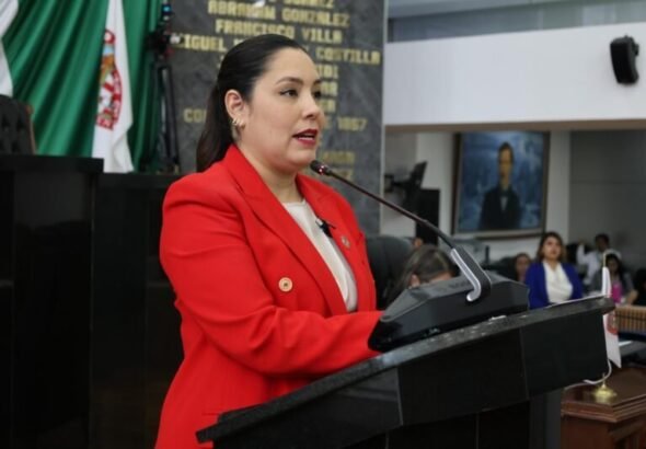 Libertad política indiscutible: legisladora descarta coacción a favor de precandidatos
