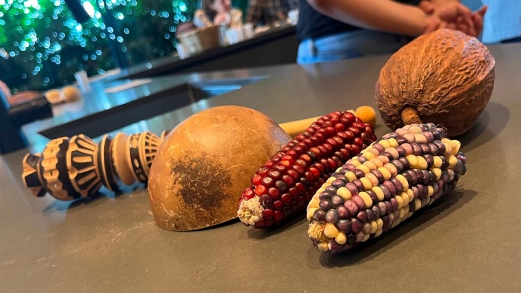 Noche de museos en CDMX ofrecerá talleres, recorridos y catas dedicadas al cacao mexicano