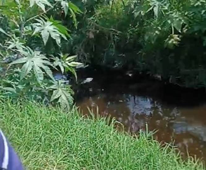 Policías de Ecatepec golpean a madres buscadoras tras localización de restos humanos en canal