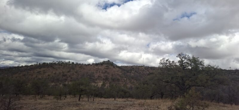 Pronostican ambiente caluroso, lluvias dispersas y rachas intensas de viento para este miércoles en el estado
