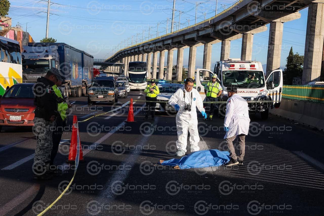 Trágico atropellamiento en la autopista México-Puebla cobra la vida de una mujer al amanecer