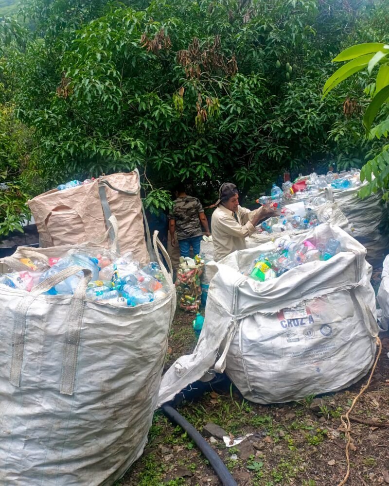 Vínculo emocional y desarrollo local: los pilares para proteger los ecosistemas de la Sierra Gorda