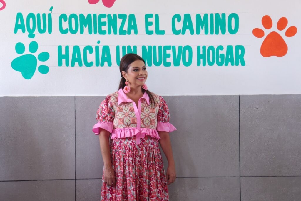 Xolotl abre sus puertas: así es el refugio público para animales más grande de México