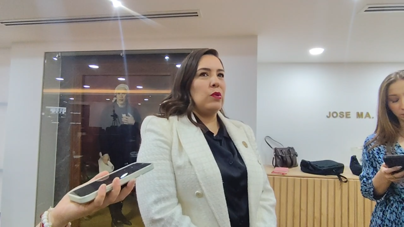 Acción Nacional ratifica que seguirá utilizando la denominación de narco políticos frente a militantes de Morena