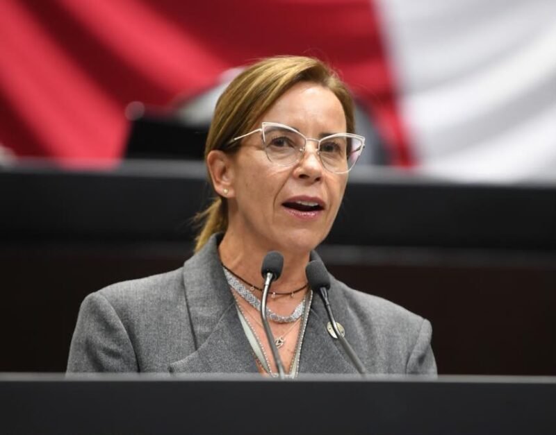Advierten legisladores que la intervención militar en inversiones ahuyentará capitales y frenará la creación de empleos