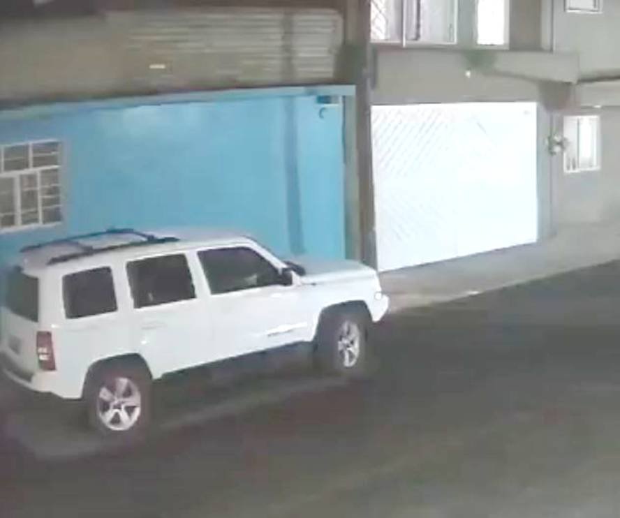 Capturan en video el momento exacto en que un conductor de mototaxi sustrae un perro pug en Valle de Chalco