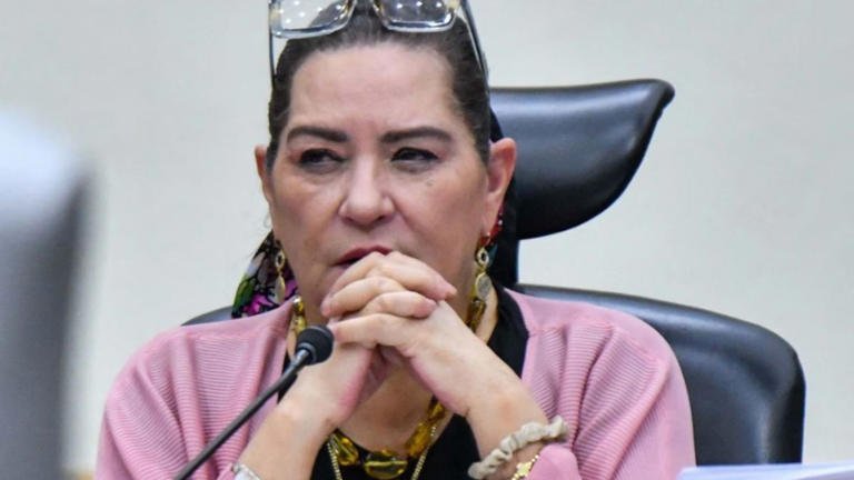 Critican a Guadalupe Taddei, titular del INE, por portar lujosa prenda de diseñador