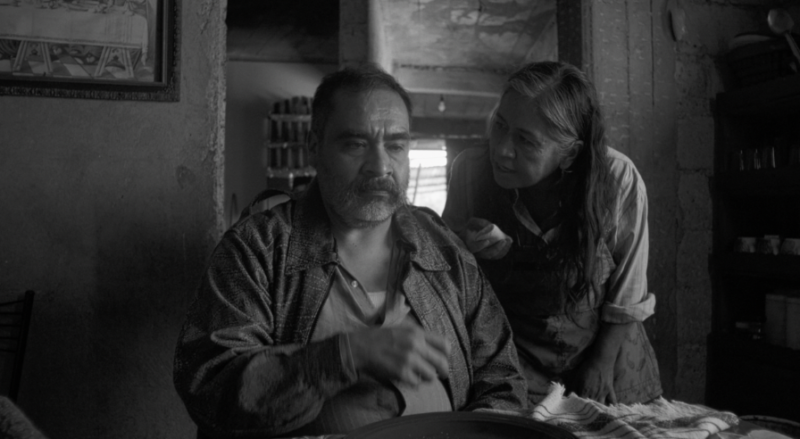 El cineasta Álvaro Curiel de Icaza presentará su nueva película en el Festival Internacional de Cine de Morelia