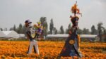 Guía completa para adquirir flor de cempasúchil en la Ciudad de México este 2026