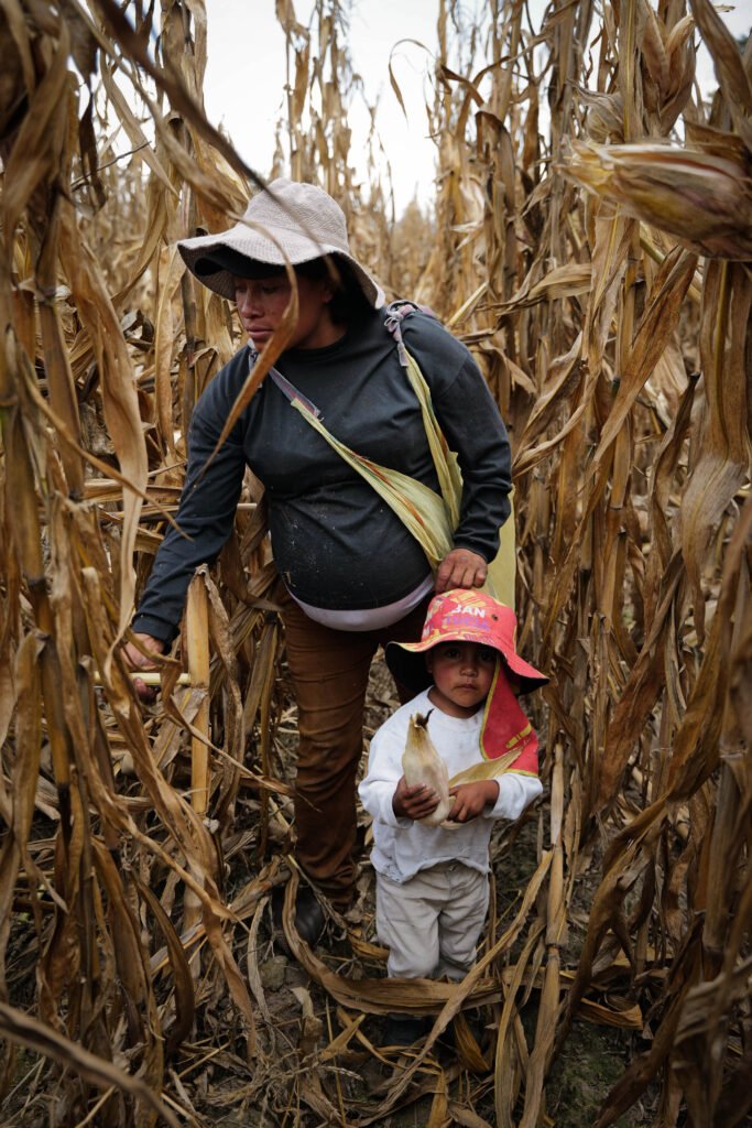 La economía oculta del bienestar: cómo el esfuerzo femenino sostiene a la sociedad