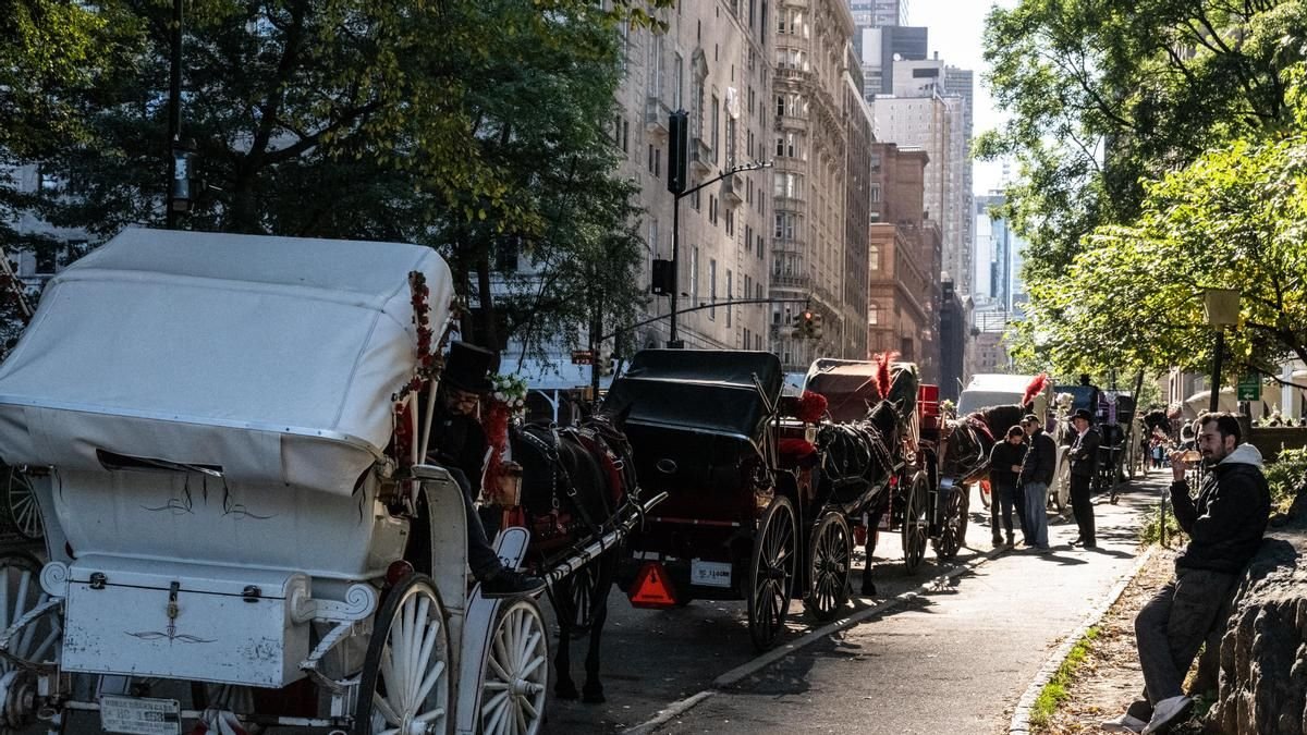 Nueva York aprueba el cese definitivo de los tradicionales carruajes en Central Park para 2028