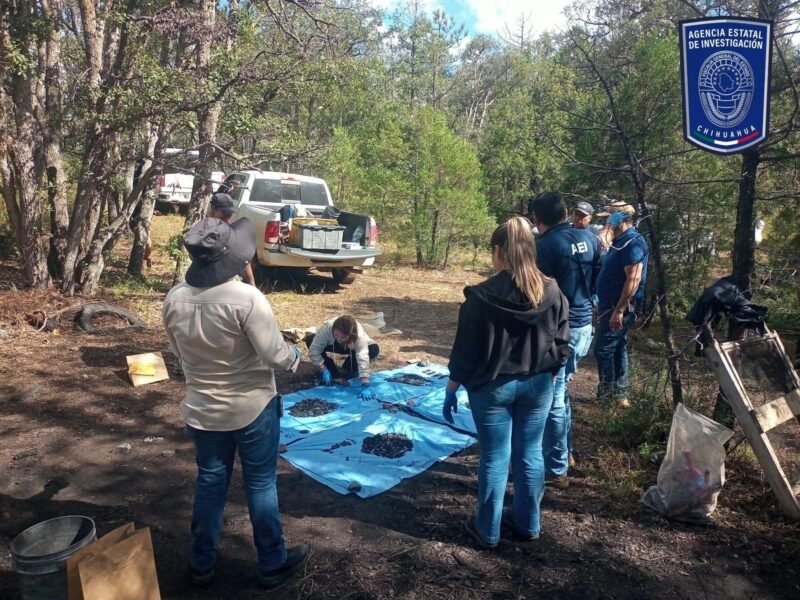 Operativo en el municipio de Madera arroja el hallazgo de restos óseos y casquillos balísticos