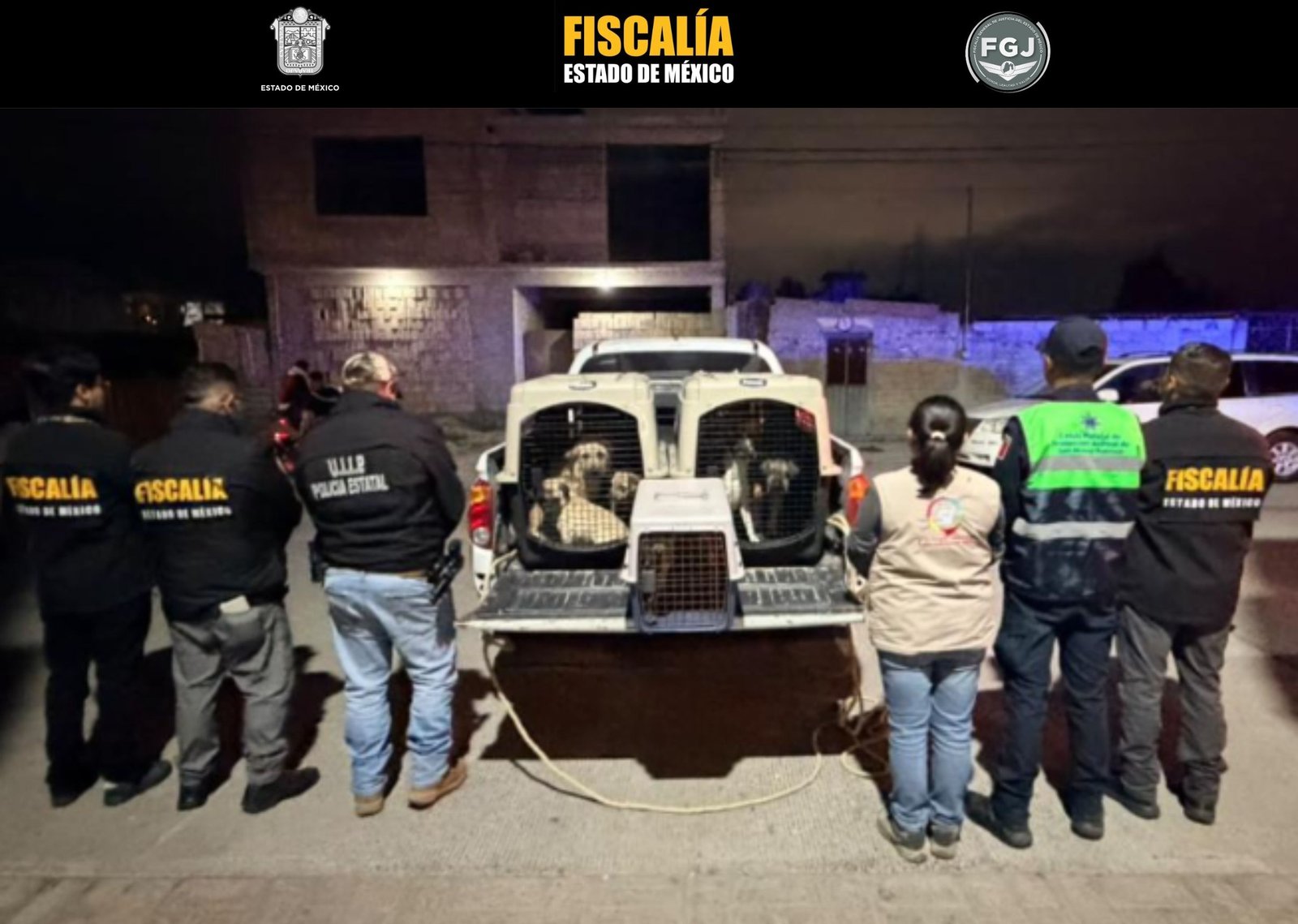 Operativo en San Mateo Atenco: liberan a tres menores y quince perros de una vivienda