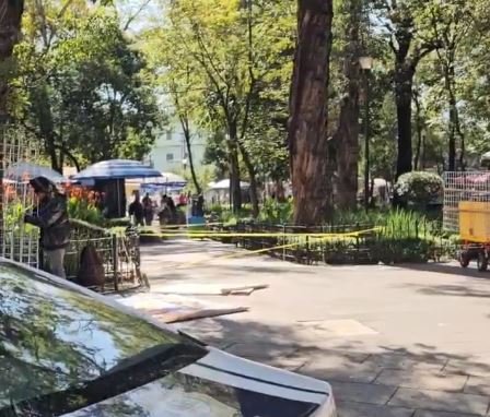 Tragedia en Coyoacán: adulto mayor en situación de calle muere solo en una banca tras ser ignorado