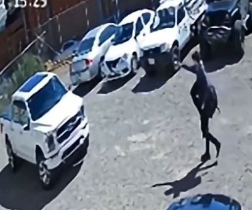 Tragedia en Sonora: odontólogo es asesinado a balazos por ciudadano estadounidense tras presunto desacuerdo profesional