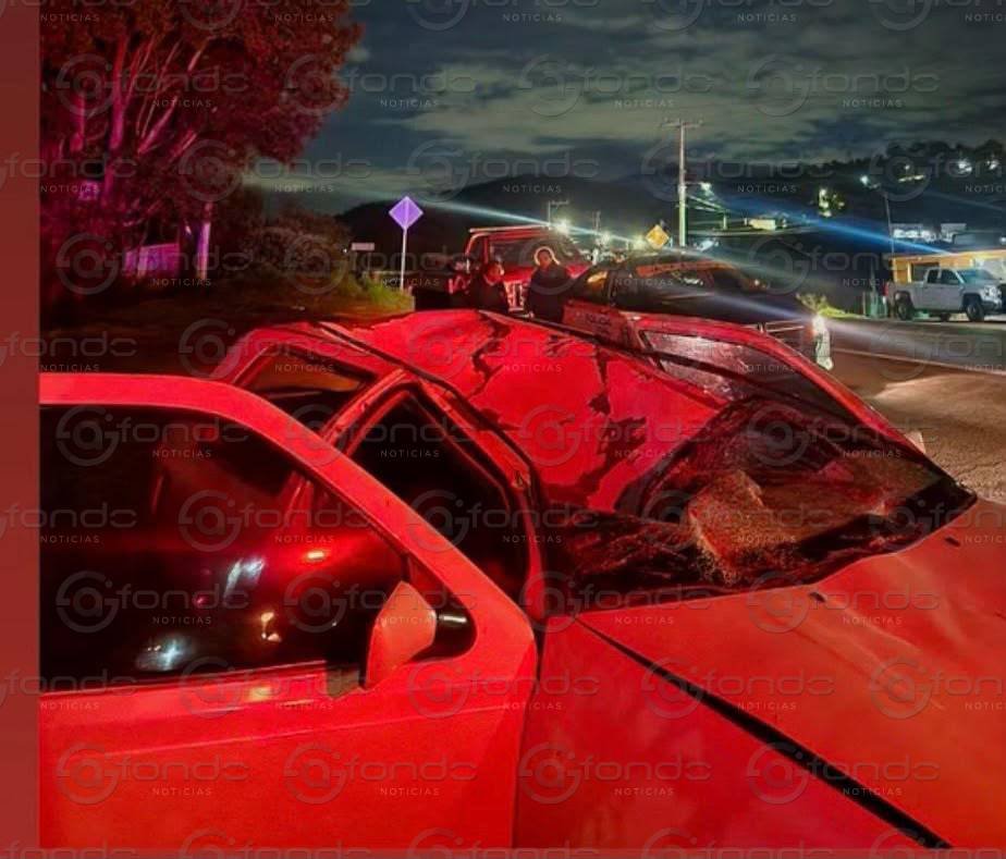 Trágico accidente en Lerma: una conductora fallece tras impactar su vehículo contra un equino