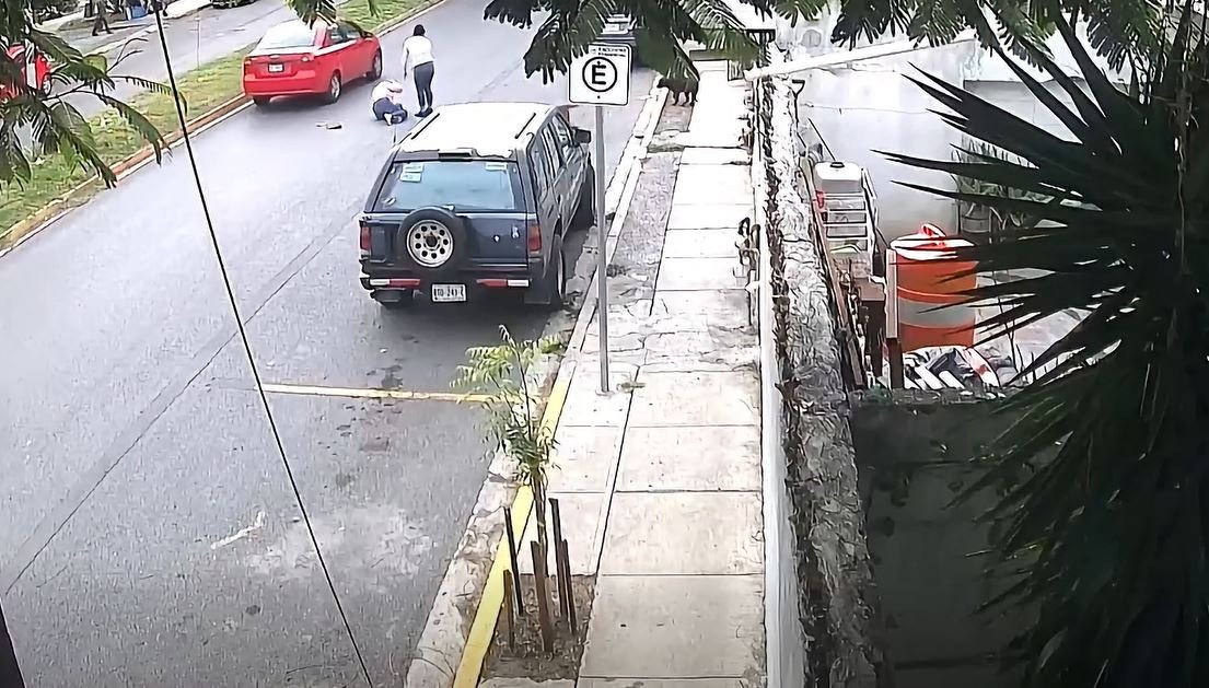 Tres perros callejeros atacan de manera imprevista a una transeúnte en la vía pública