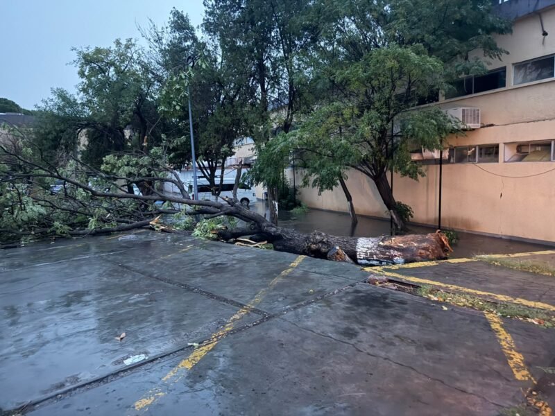 Universidad Autónoma de Chihuahua despliega operativos para reparar los estragos dejados por recientes precipitaciones