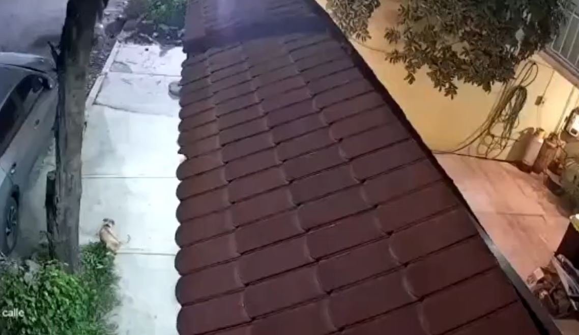 Violento asalto en Ecatepec: delincuentes armados despojan de su automóvil a una familia en la puerta de su hogar